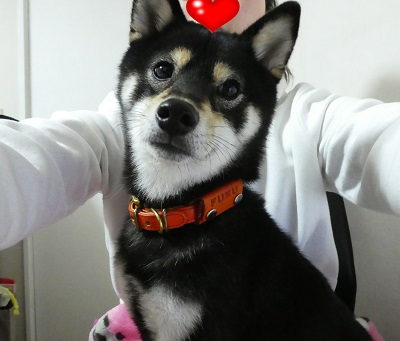 2017.11.27膝の上に