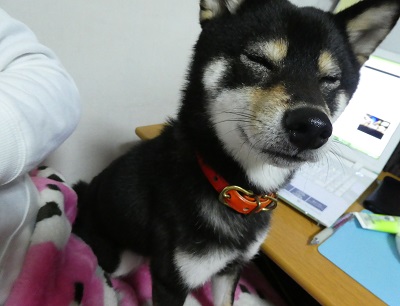 2017.11.27寝診みぃ