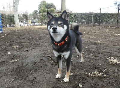 2018.2.5帰りたい