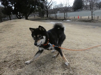 2018.2.5おやつキャッチ