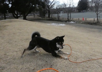 2018.2.5捕まえた
