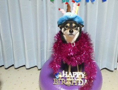 2018.2.10誕生日おめでとう