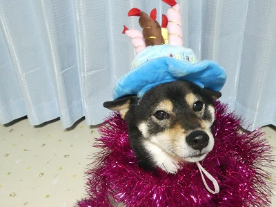 2018.2.10　4歳の誕生日