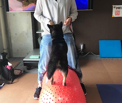 2018.8.4テンションだだ下がり