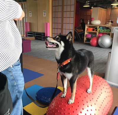 2018.8.4ちょっと笑顔