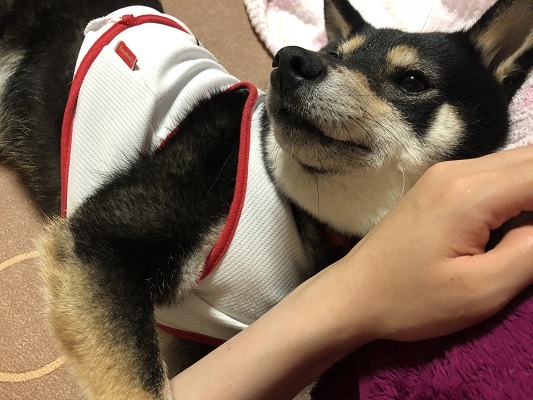 2018.9.12　らぶらぶ