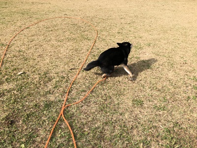 2018.12.2　逃げる