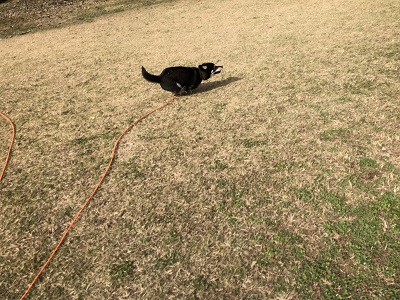 2018.12.2　ダッシュ