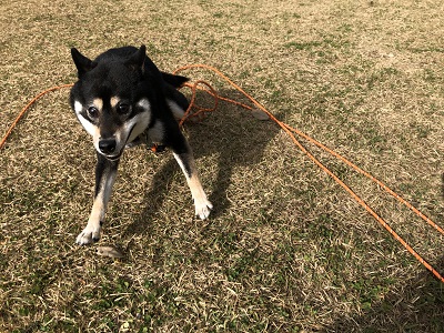 2018.12.2　ニヒヒ