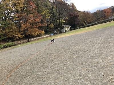 2018.12.2　逃げろー