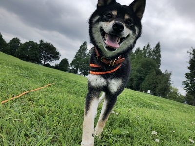 2019.7.9　笑顔の福