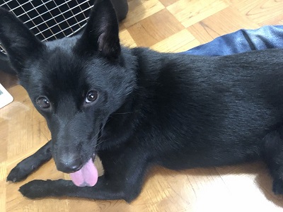 2019.7.28　レッスン生北斗君