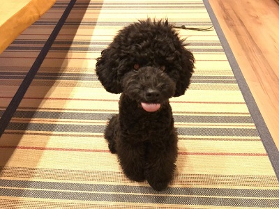 2019.8.30　レッスン生ソル君