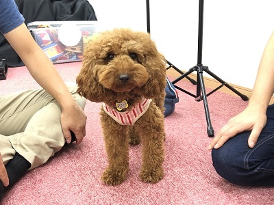 2019.9.25　レッスン生リリちゃん