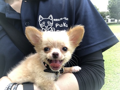 2019.10.18　レッスン生あずきちゃん