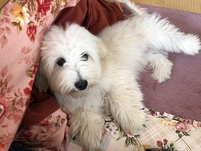 2019.12.8　レッスン生リオ君