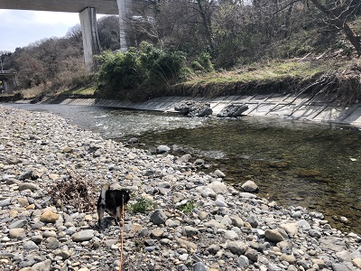 2019.3.22　川にお散歩