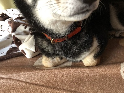 2019.11.12　寒さ対策