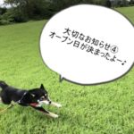 2019.12.13　犬の幼稚園オープン日